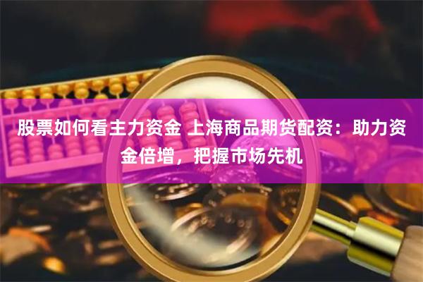 股票如何看主力资金 上海商品期货配资：助力资金倍增，把握市场先机