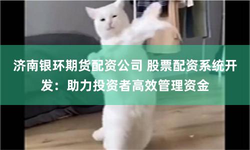 济南银环期货配资公司 股票配资系统开发：助力投资者高效管理资金