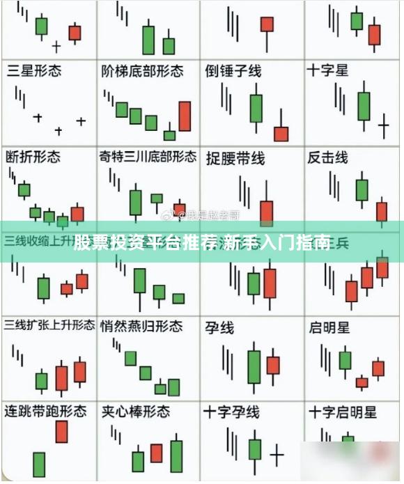股票投资平台推荐 新手入门指南
