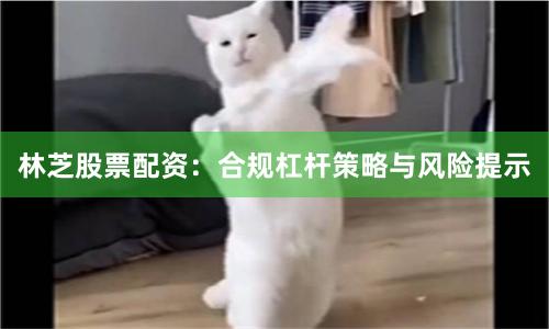 林芝股票配资：合规杠杆策略与风险提示